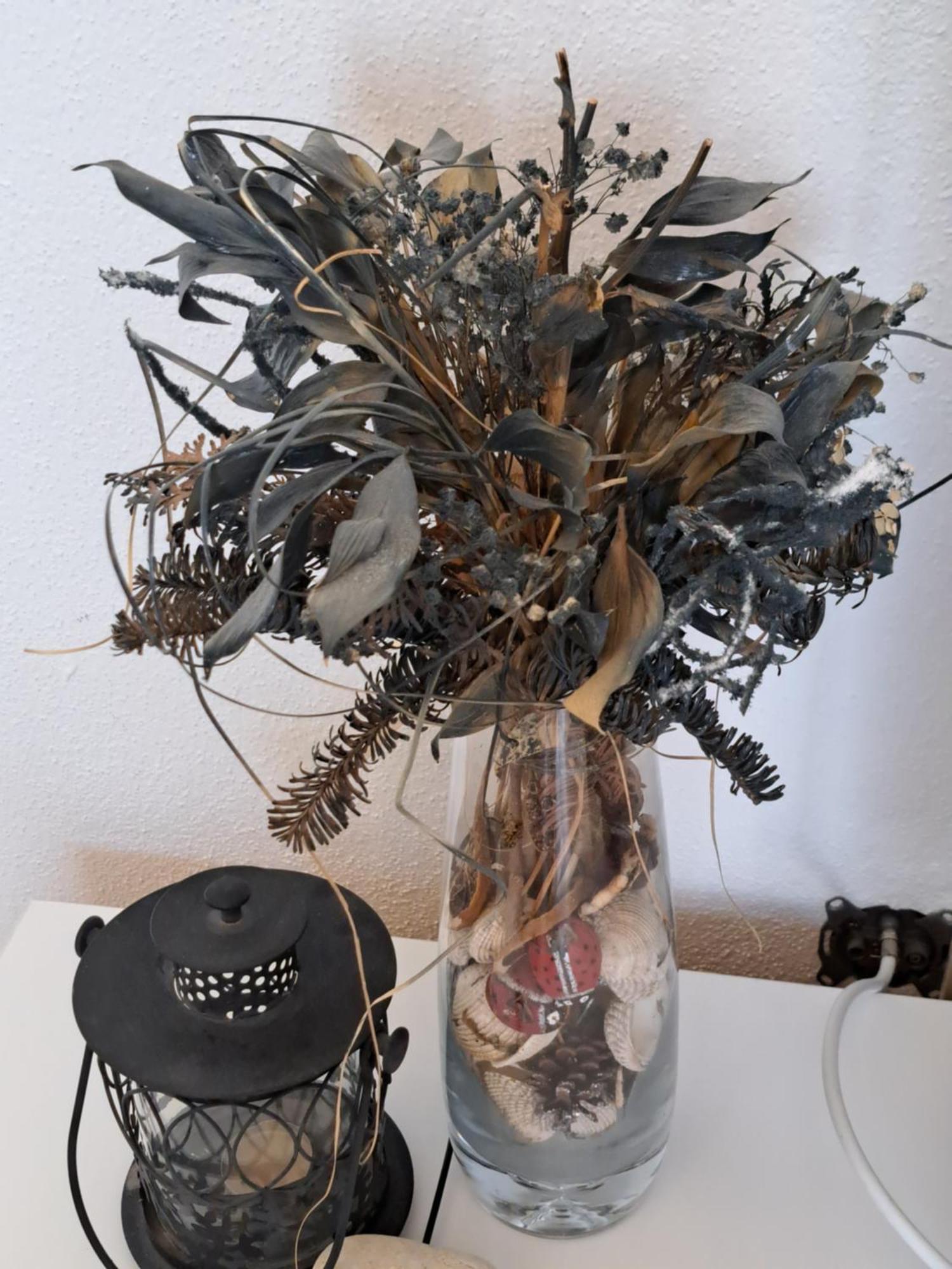 Apartment Oaza Mira Tribalj Eksteriør billede